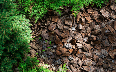 Mulch & Stone